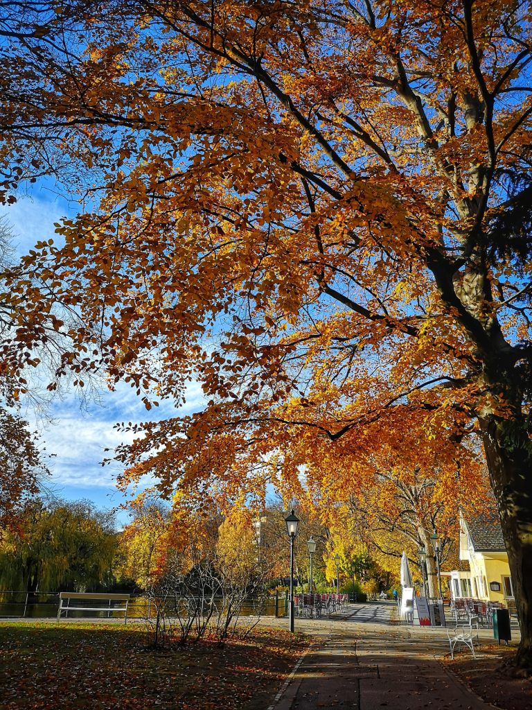 Herbst in Baden
